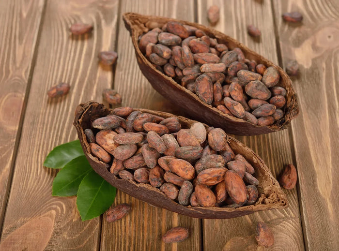 Fermented Cacao Beans: the Secret to Fine Chocolate