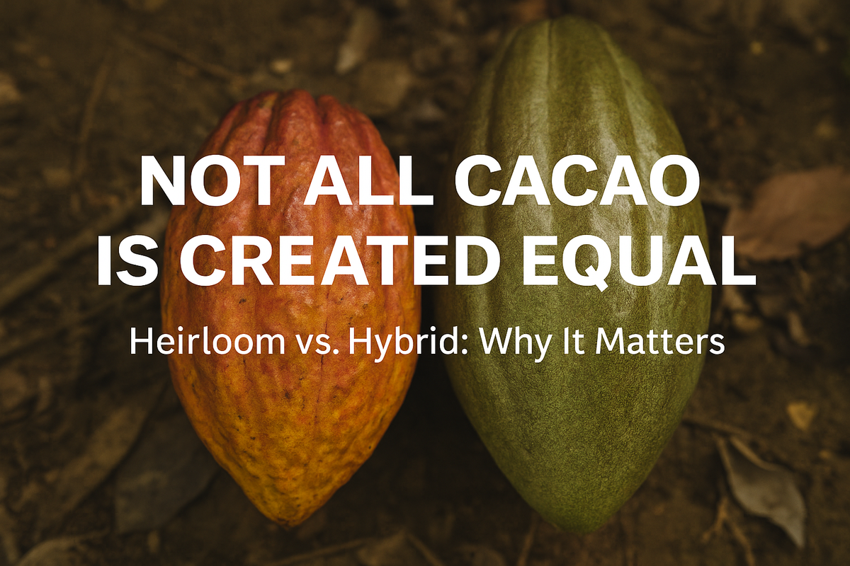 Not All Cacao is the same: Hybrid vs. Heirloom Varieties