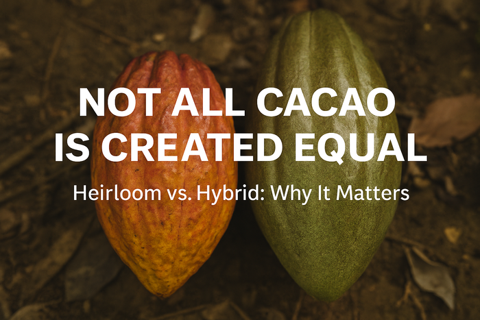 Not All Cacao is the same: Hybrid vs. Heirloom Varieties