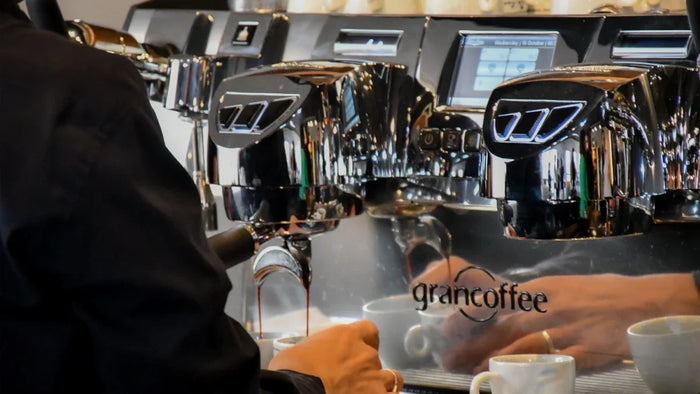 How to Quit Caffeine: The Science, The Struggle, and a 3-Week Transition Plan
