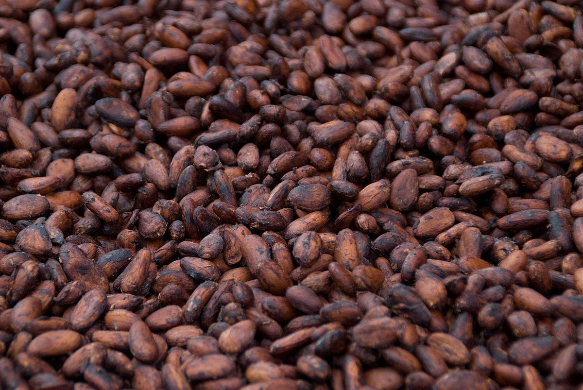 The Cacao Bean Quality Checklist: How to Inspect Beans Like a Professional