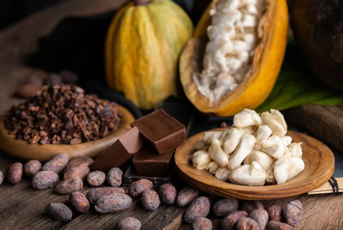 Where to Buy Cacao: The Ultimate Guide to Quality, Ethics, and Purity