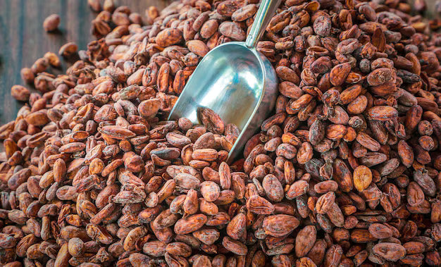 Chocolate Beans: How to Spot High-Quality Cacao