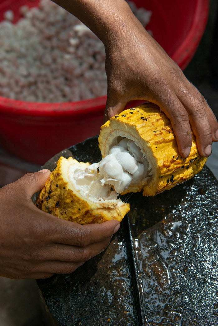 What is Ceremonial Grade Cacao?