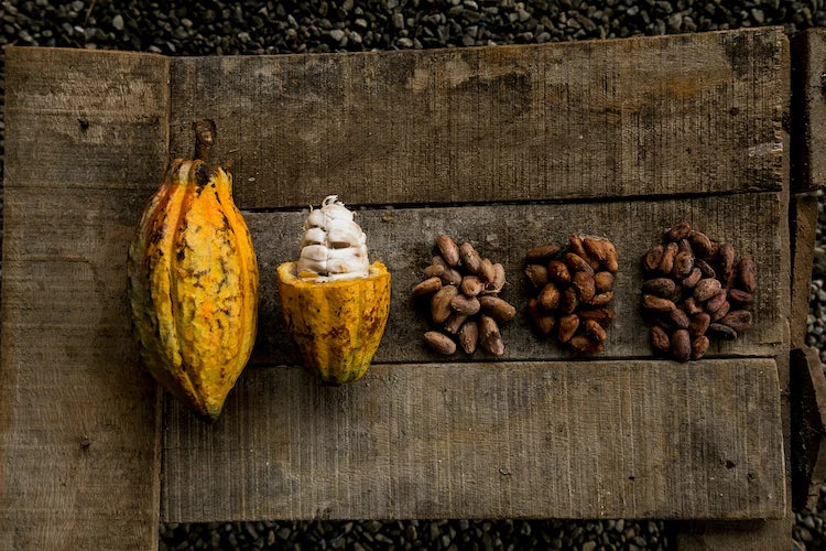 Craft Chocolate vs. Premium Chocolate: What’s the Real Difference?