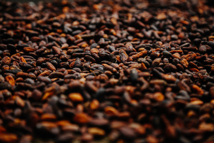 Cacao Nibs Nutritional Value: The Deep Dive into Nature’s Most Complex Superfood