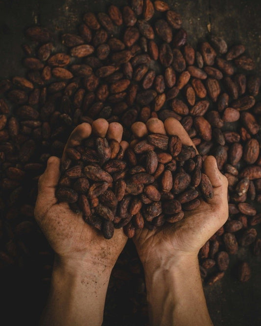 The Cultural Significance of Ceremonial Grade Fair Trade Cacao