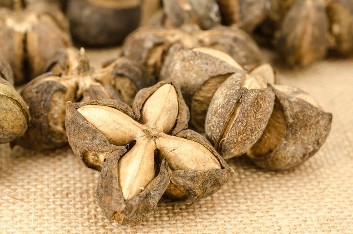 Sacha Inchi: The Peruvian Amazon's Omega-3 Superseed