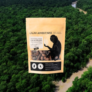 Raw Cacao Beans – High-Amazon Basin | Whole Native