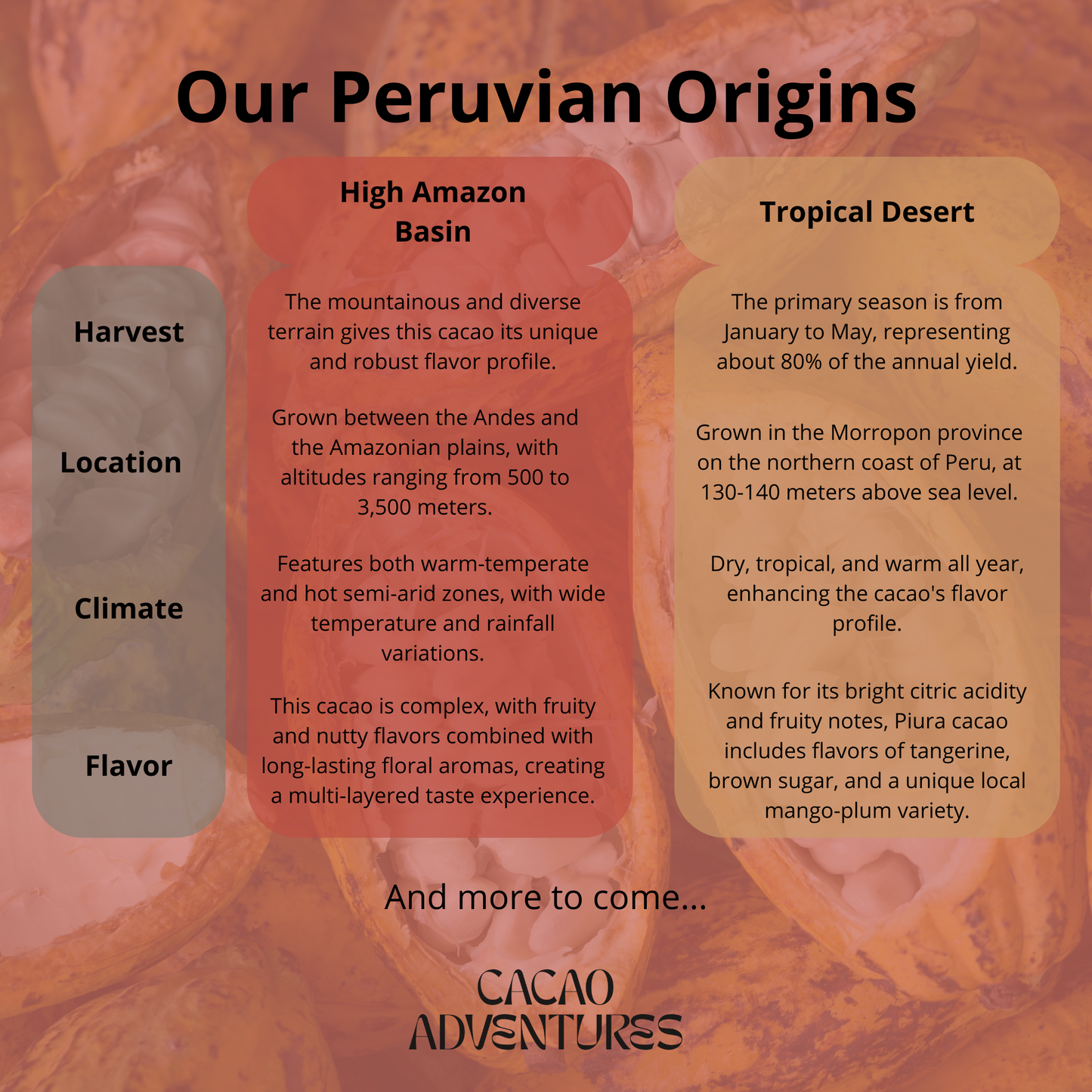 Bulk Ceremonial Cacao