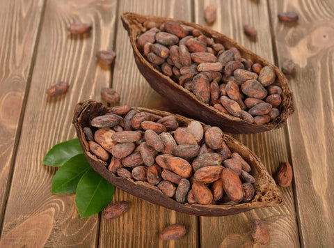 Fermented Cacao Beans: the Secret to Fine Chocolate