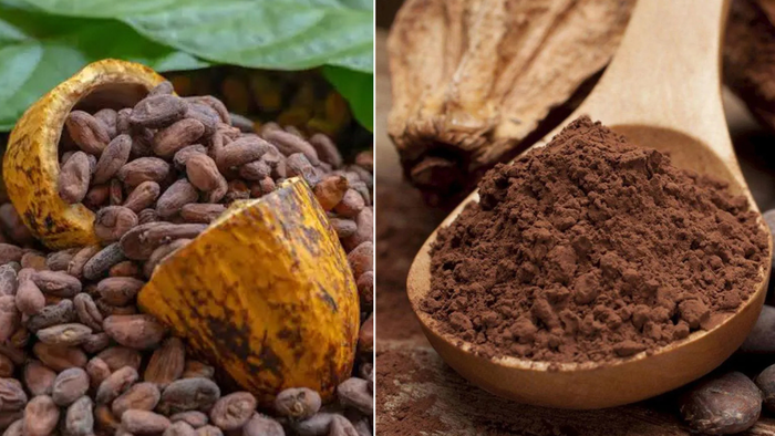 Looking for a Cocoa Shop? Why Cacao is What Your Body Actually Crave