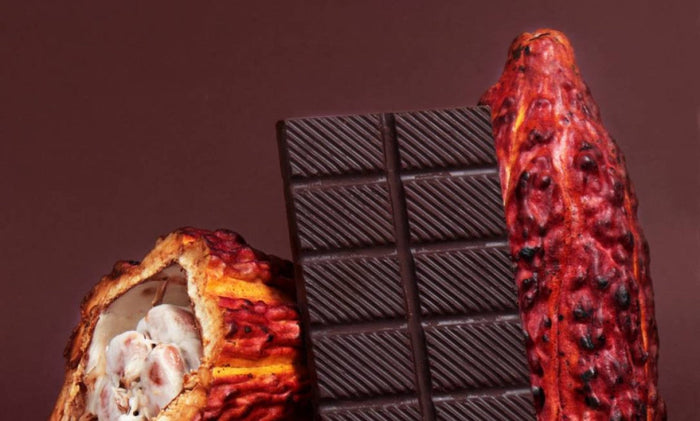 How to Taste Chocolate Like a Pro (A Simple At-Home Guide)
