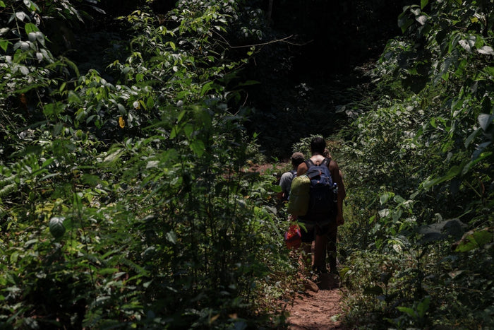 Cacao Benefits: Why many people are switching to ceremonial cacao