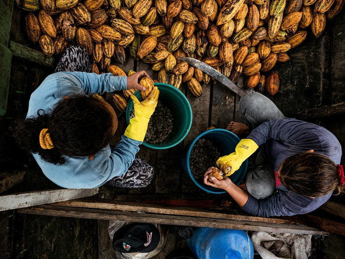 Bean-to-Bar vs. Mass-Produced Chocolate: What You’re Actually Paying For