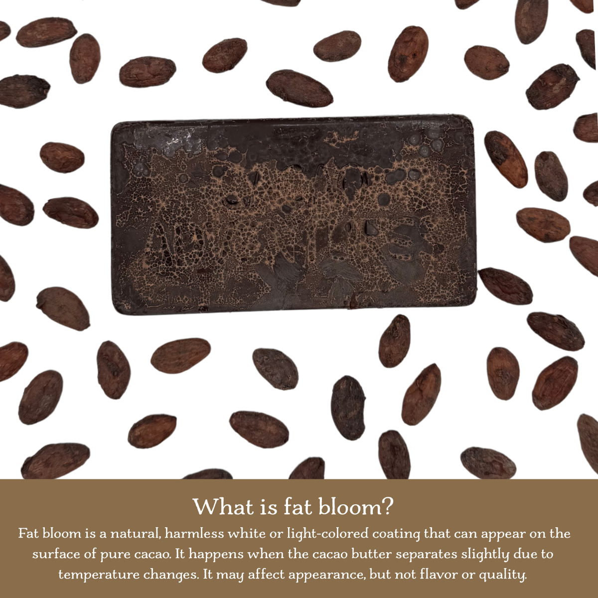 High-Amazon Basin Block (Untempered) | 8 oz