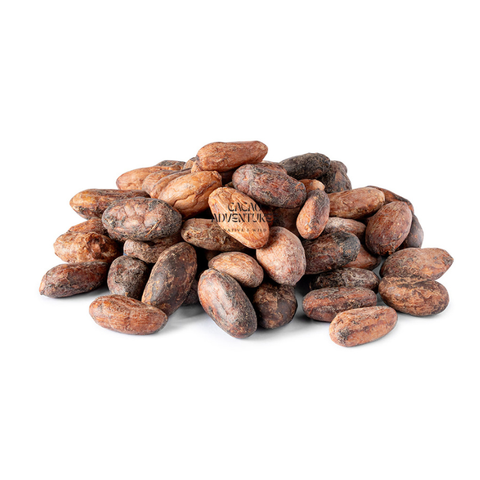 Peruvian Cacao Beans — Single-Origin, Direct Trade | 20 kg Bag for Bean-to-Bar