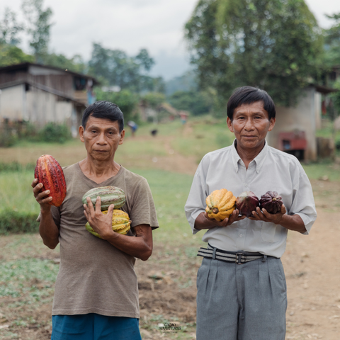 Peruvian Cacao Beans — Single-Origin, Direct Trade | 20 kg Bag for Bean-to-Bar
