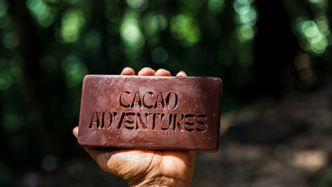 Hand holding a chocolate bar with 'Cacao Adventures' branding against a blurred natural background