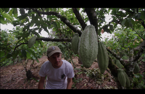 Jose standing under a cocoa tree with large green cacao pods in a the awajun communities land.