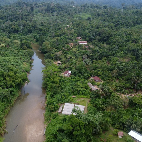 Where they come from