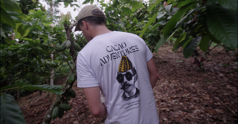 Wild Peruvian origins & Regenerative Farming