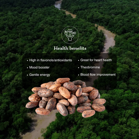 High Amazon Basin Native Raw Cacao Beans 1 kg