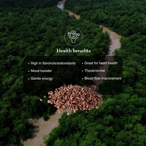 High-Amazon Basin Cacao Nibs