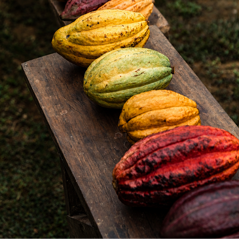 Peruvian Cacao Beans — Single-Origin, Direct Trade | 20 kg Bag for Bean-to-Bar