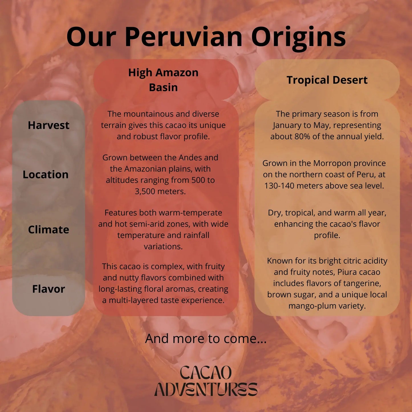 High-Amazon Basin Ceremonial Grade Cacao